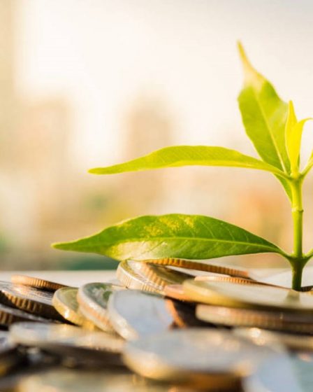 La inversión sostenible (ESG) gana terreno en la renta fija